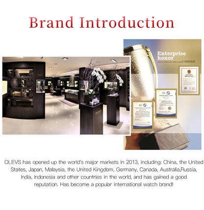 OLEVS 6612 Womens Watch Elegant Fashion Bezel Ceramic Strap Original Mechanical Watch Waterproof Luminous Butterfly Dial Ladies